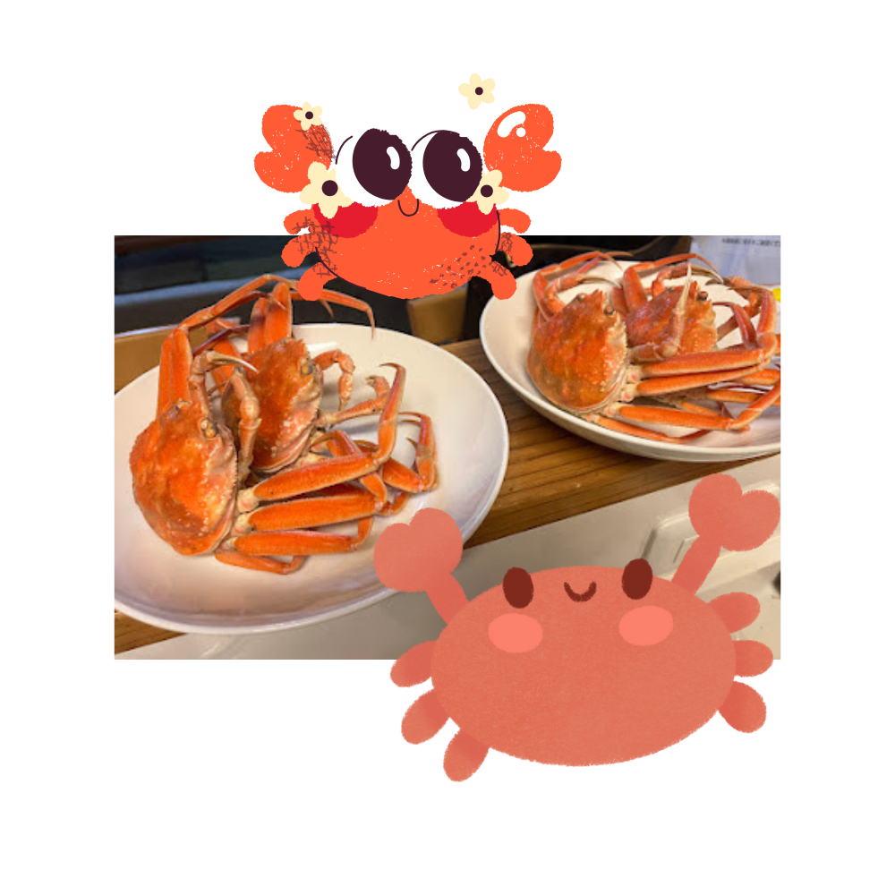 カニ🦀