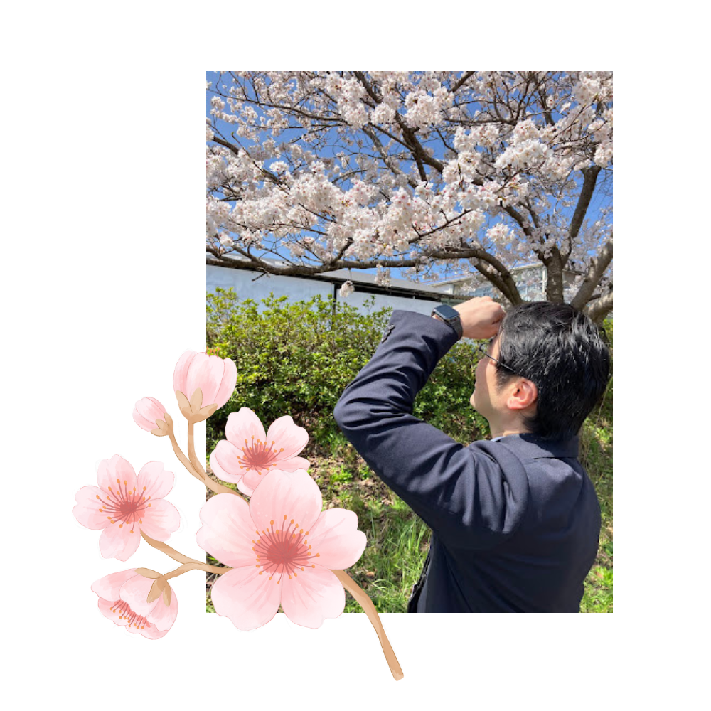 桜が満開でした🌸