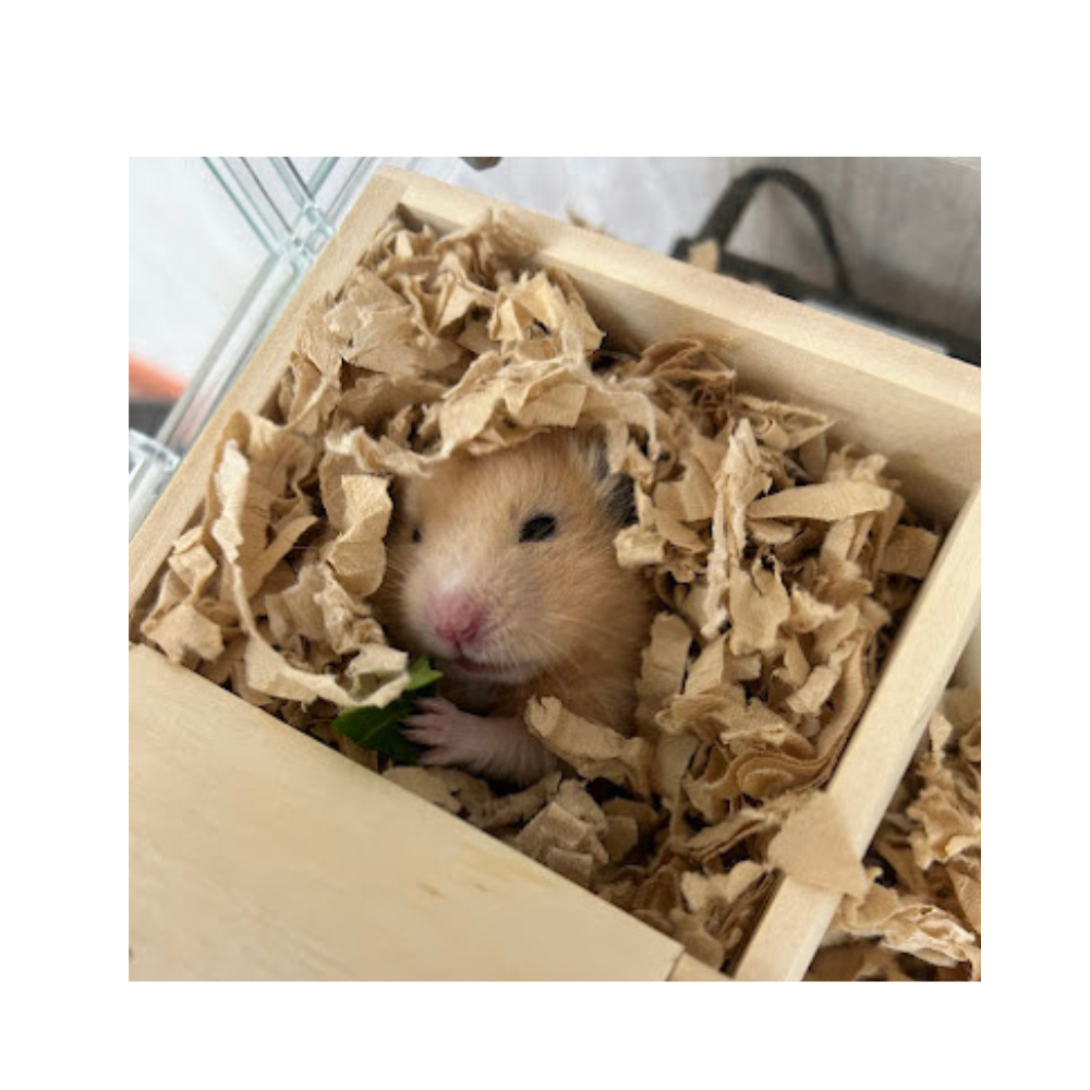 おはようございます☀