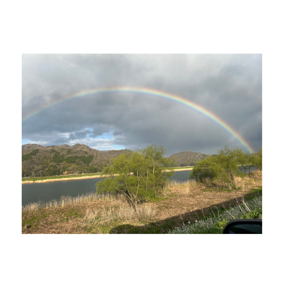 きれいな虹でした🌈
