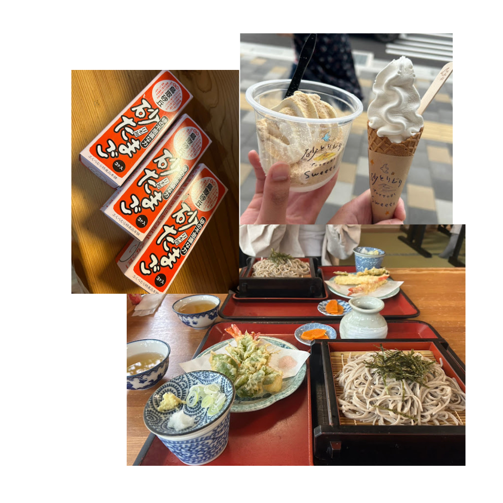 スタッフの休日🍦