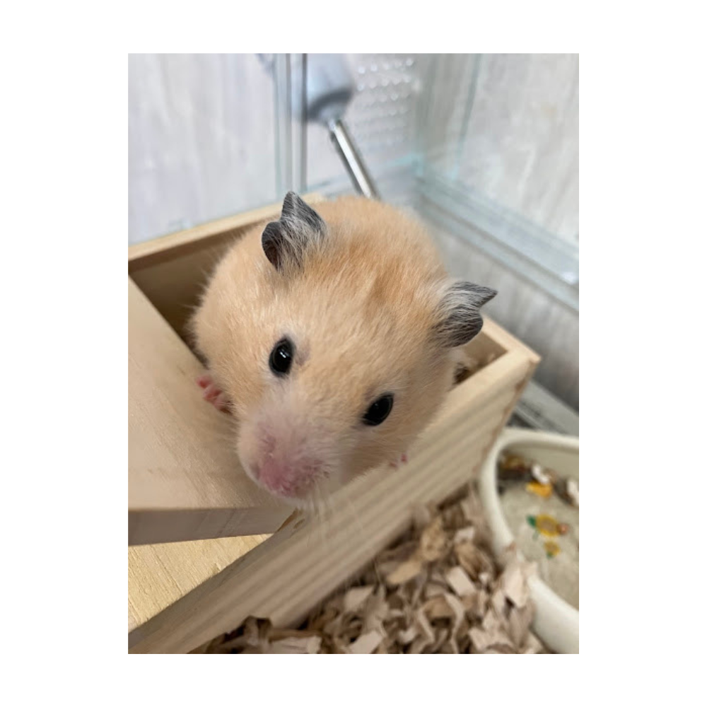 おはようございます☀