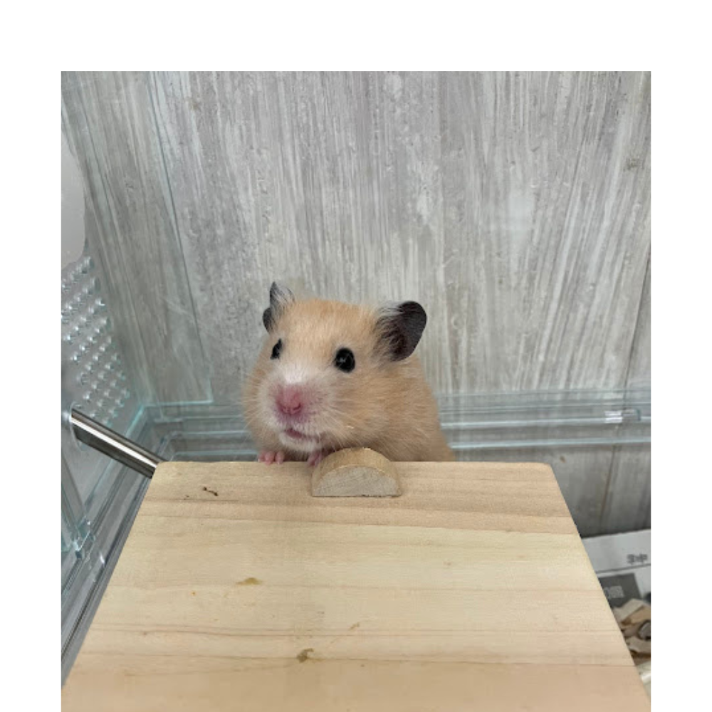 おはようございます😊