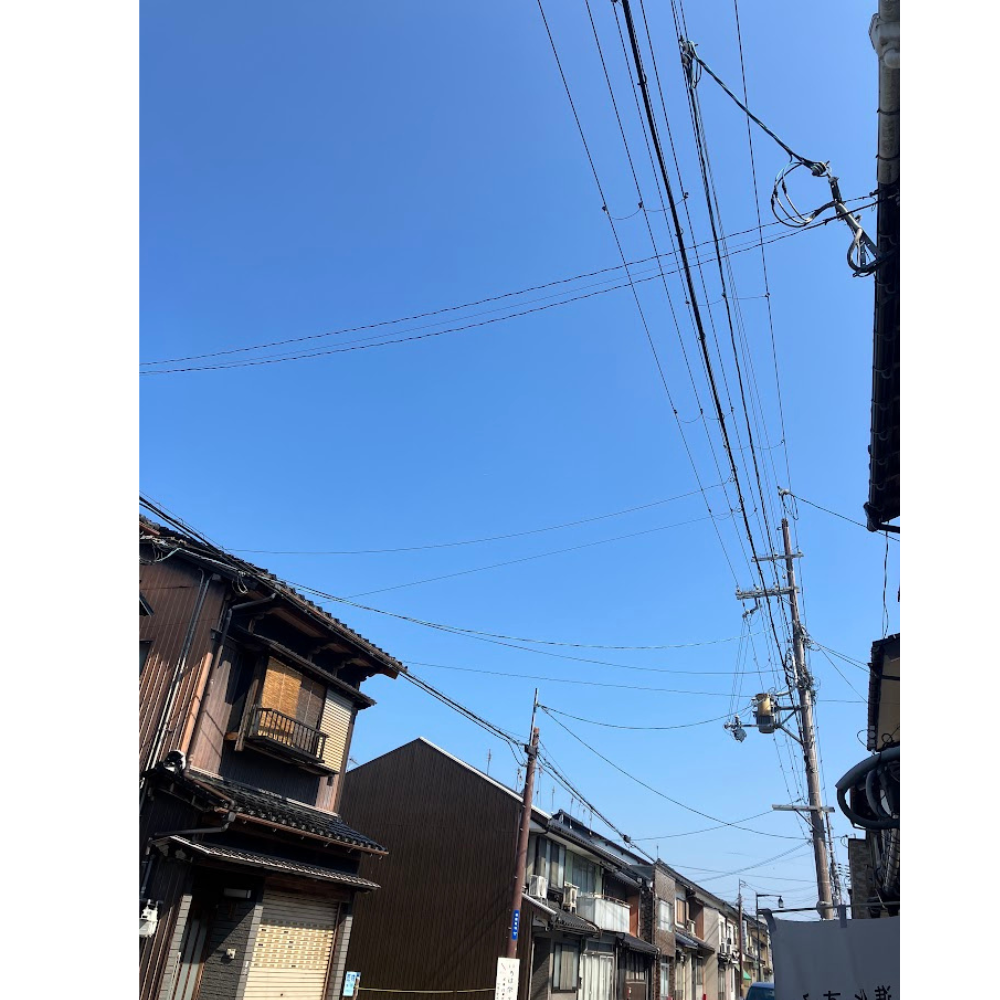 いいお天気です☀
