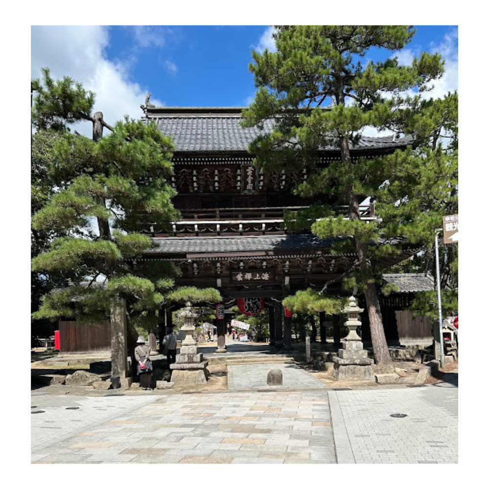 スタッフの休日⛩